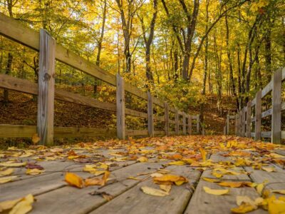 MontourPhoto2 MontourPhoto2